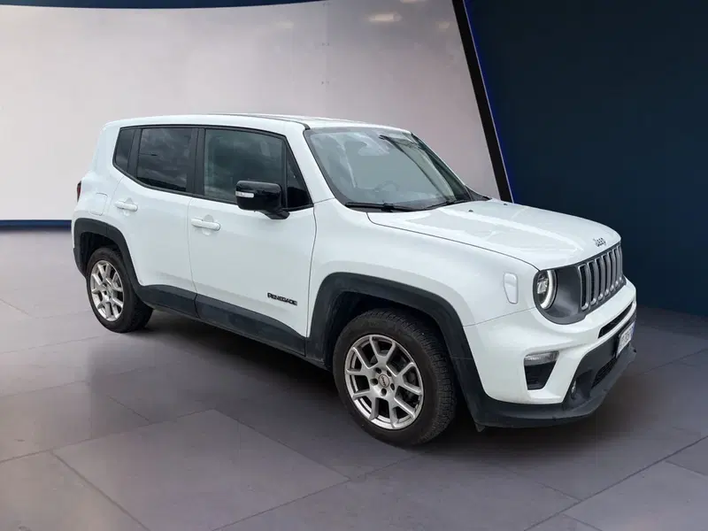 Jeep Renegade usata a Torino (2)