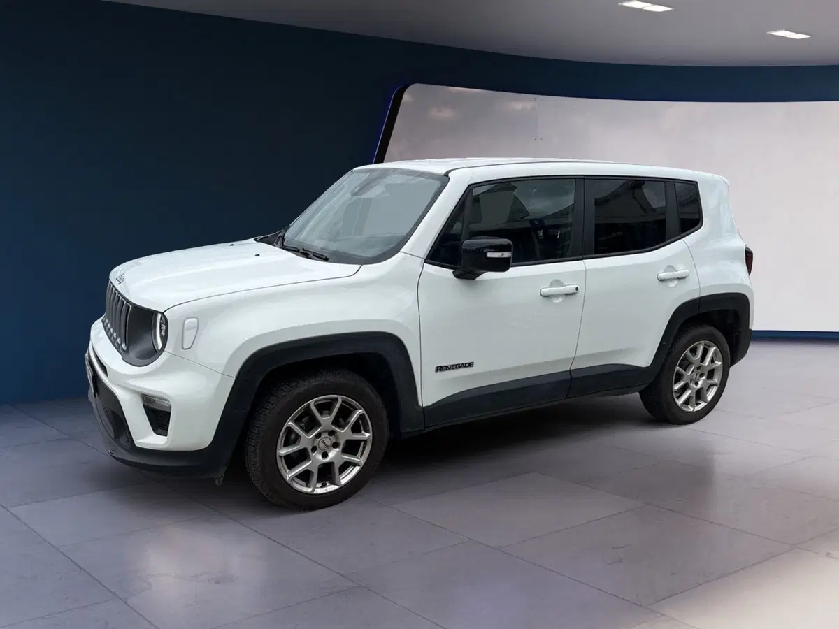 Jeep Renegade usata a Torino (3)