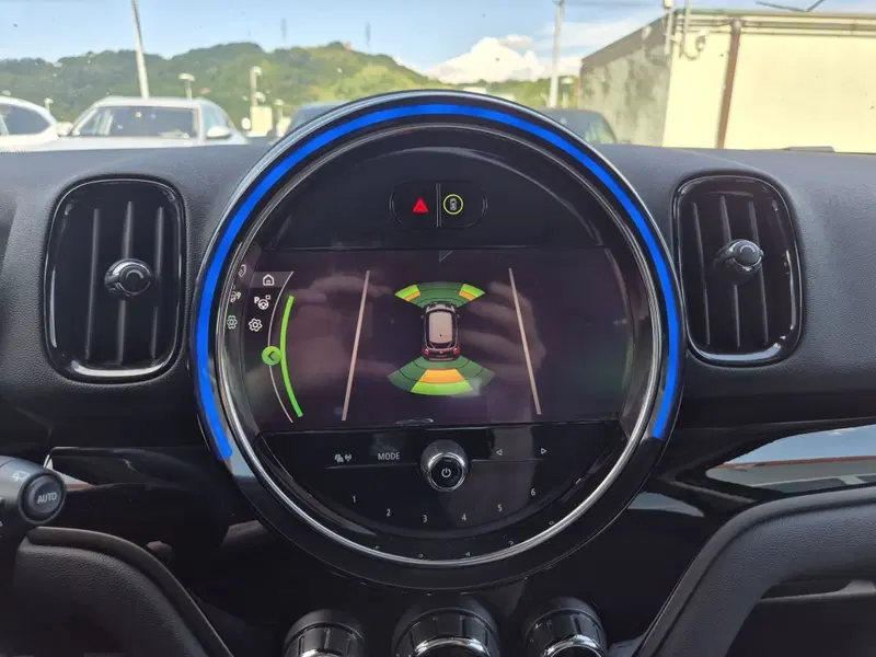 MINI Mini Countryman usata  (15)