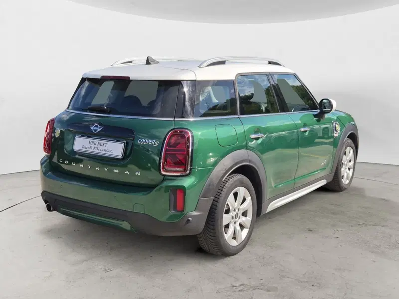 MINI Mini Countryman usata  (4)