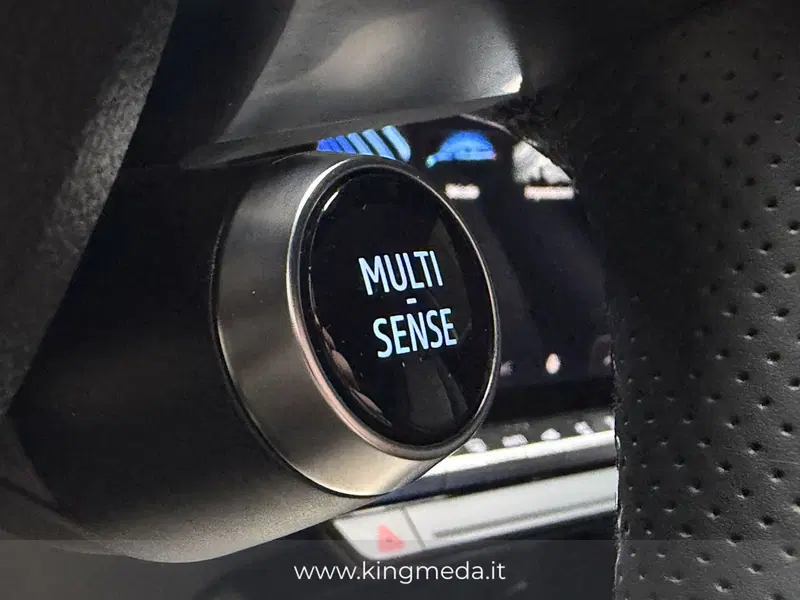 Renault Austral usata a Monza e Brianza (16)