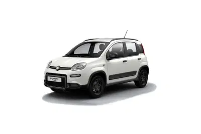 Fiat Panda Cross Cross 0.9 TwinAir Turbo S&amp;S 4x4 del 2017 usata a Palermo