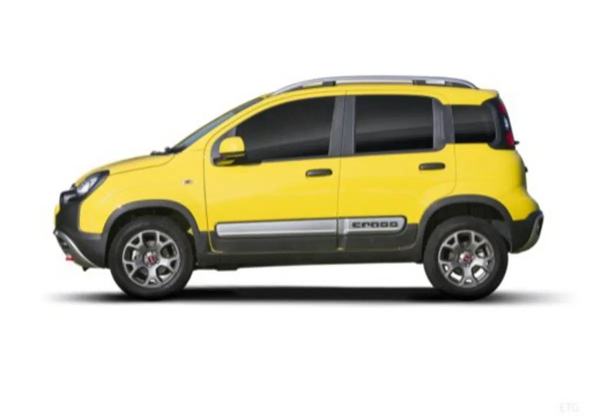 Fiat Panda Cross usata a Palermo (16)