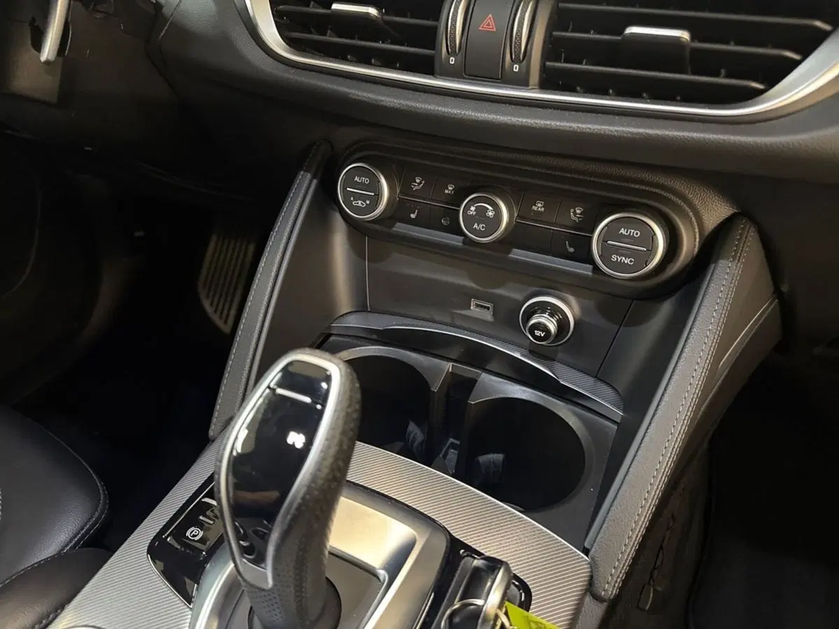 Alfa Romeo Stelvio usata a Prato (15)