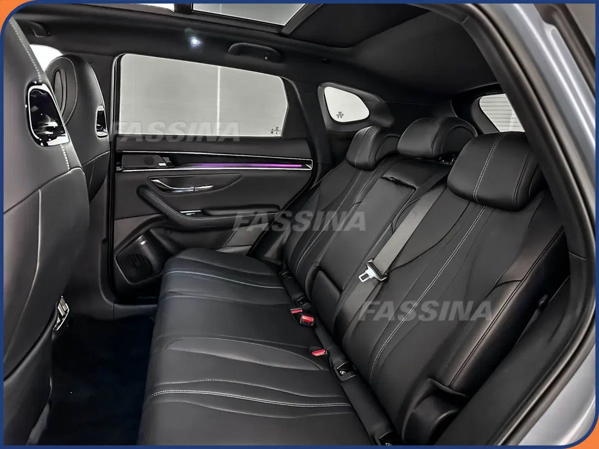 Byd Seal U DM-i  usata a Milano (11)