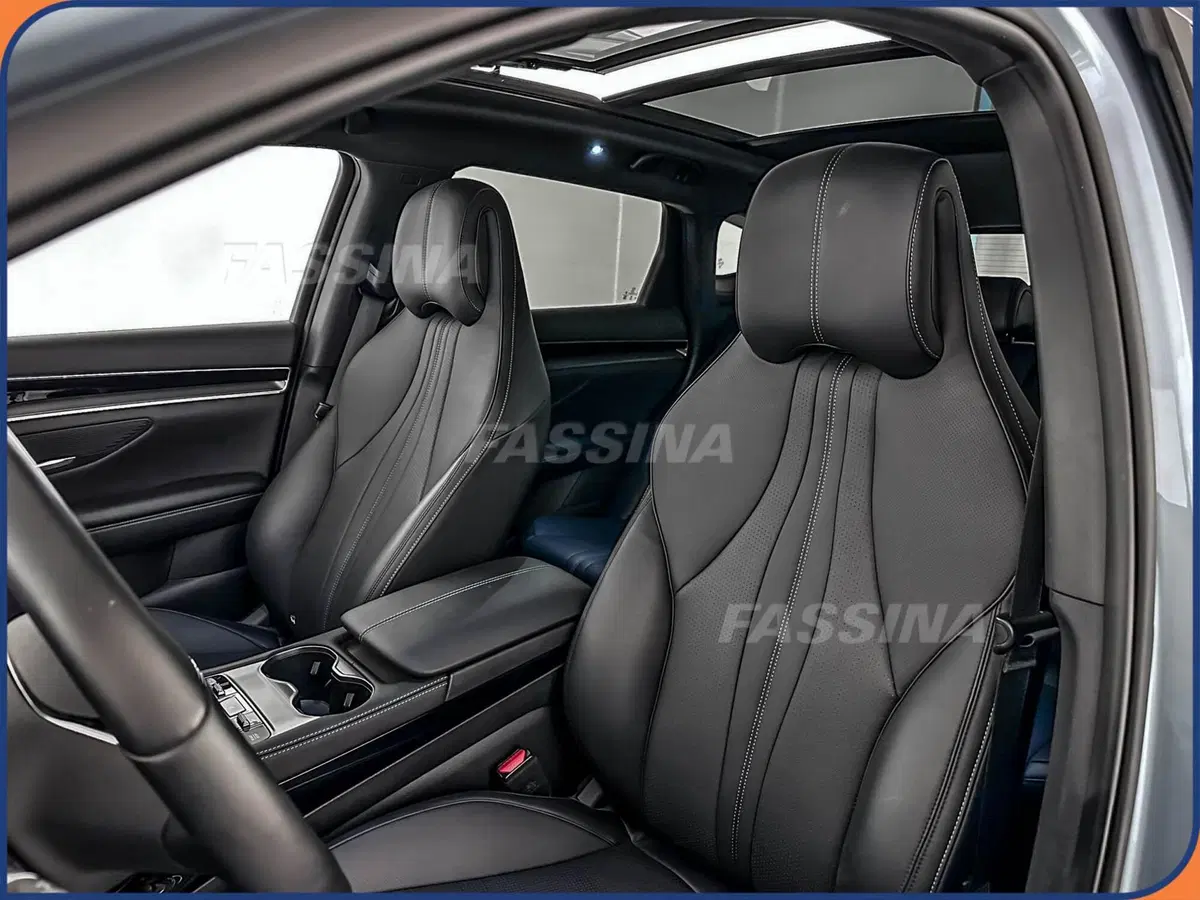 Byd Seal U DM-i  usata a Milano (8)