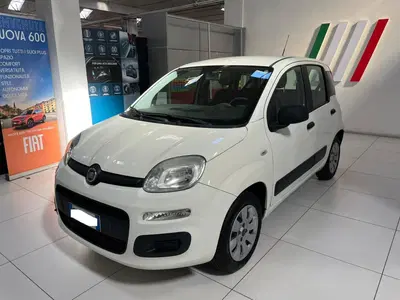 Fiat Panda 1.2 Easy del 2013 usata a Altopascio
