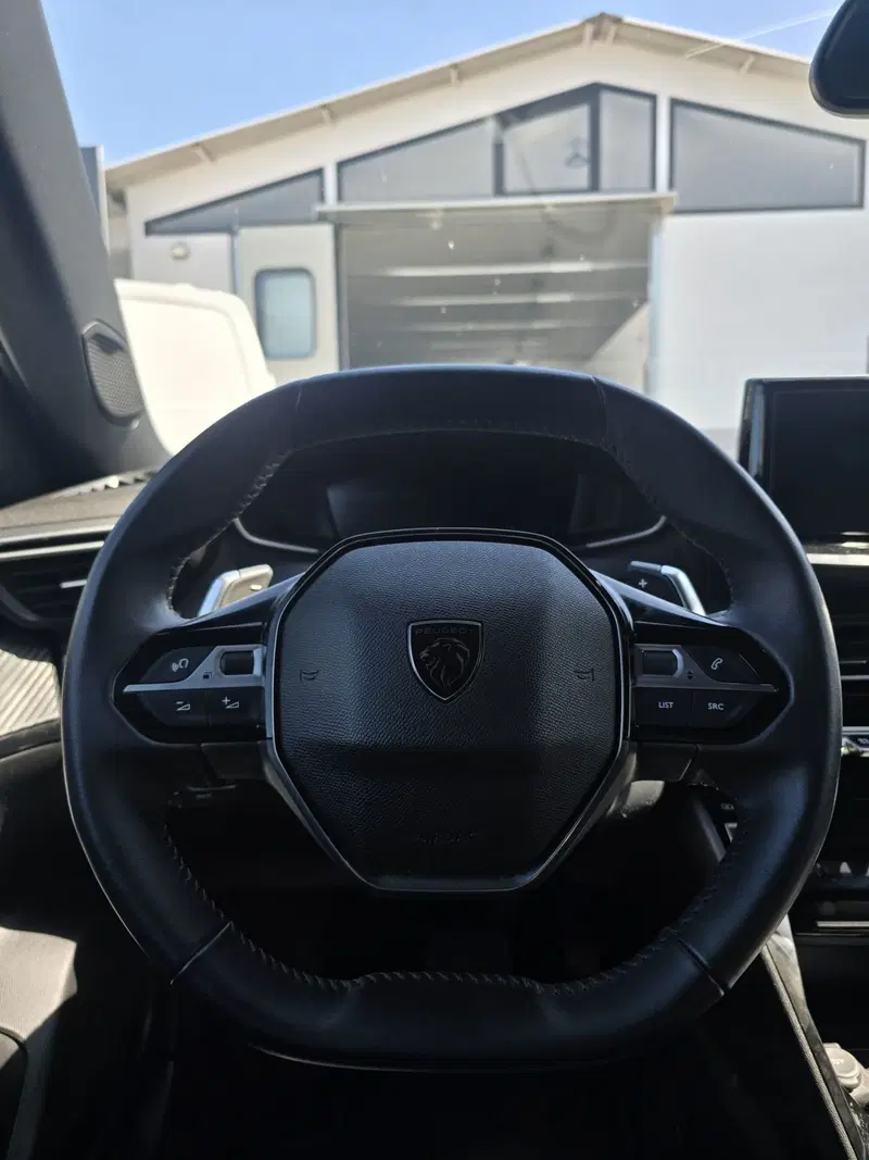 Peugeot 2008 usata a Massa-Carrara (19)