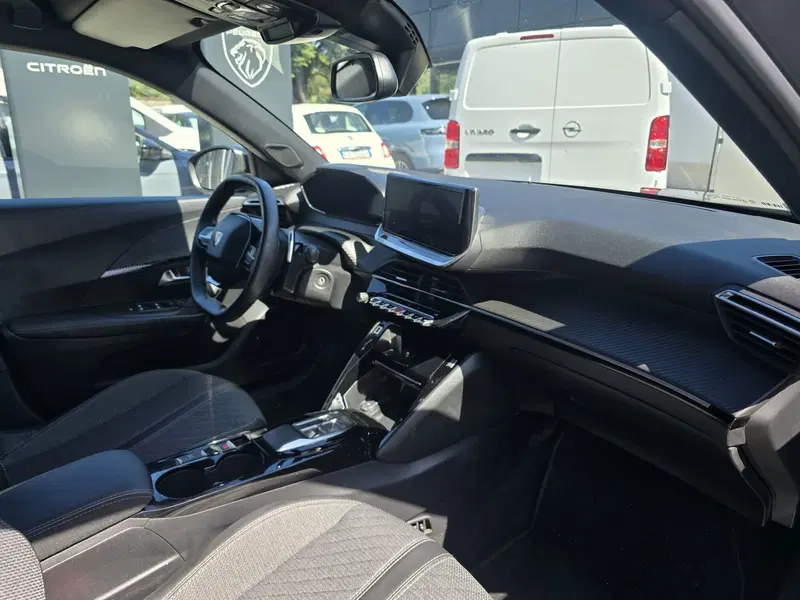 Peugeot 2008 usata a Massa-Carrara (20)