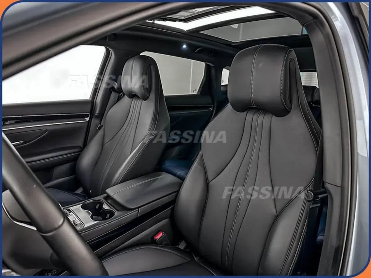 Byd Seal U DM-i  usata a Milano (8)