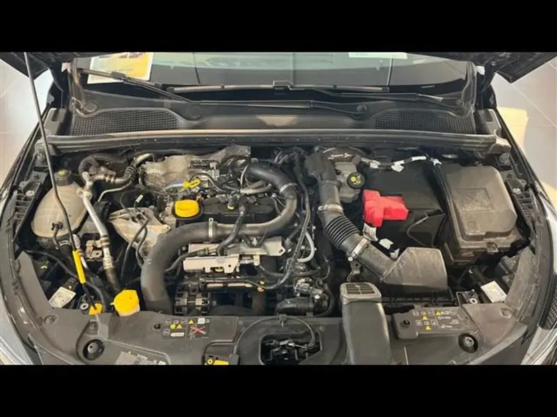Renault Clio usata a Firenze (13)