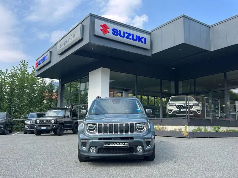 Jeep Renegade usata a Vercelli (2)