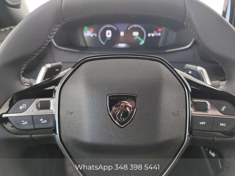 Peugeot 2008 usata a Palermo (10)