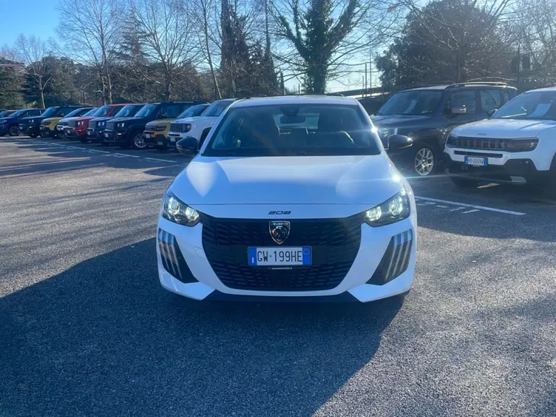 Peugeot 208 usata a Latina (6)