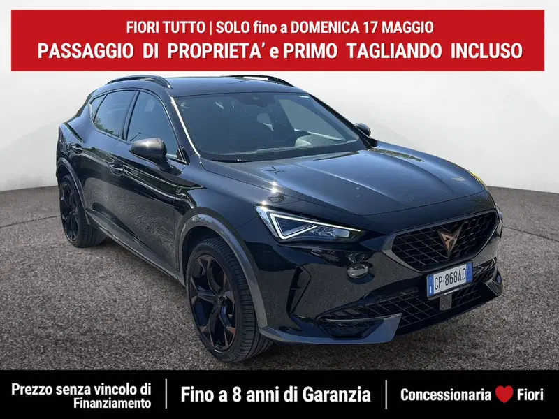 Cupra Formentor usata a Latina (2)