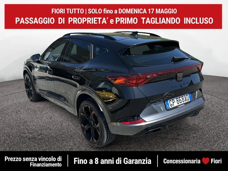 Cupra Formentor usata a Latina (4)