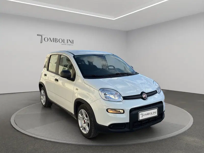Fiat Panda Cross usata a Macerata (2)