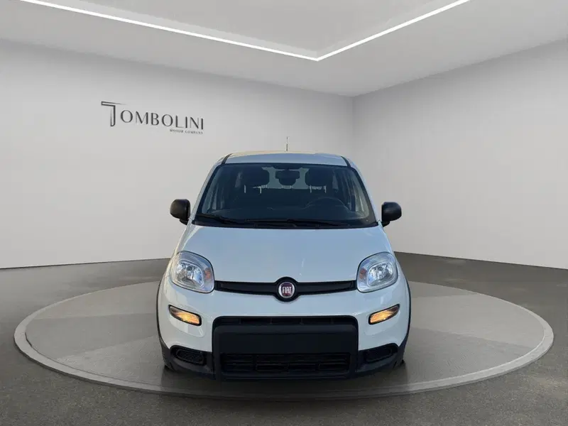 Fiat Panda Cross usata a Macerata (3)
