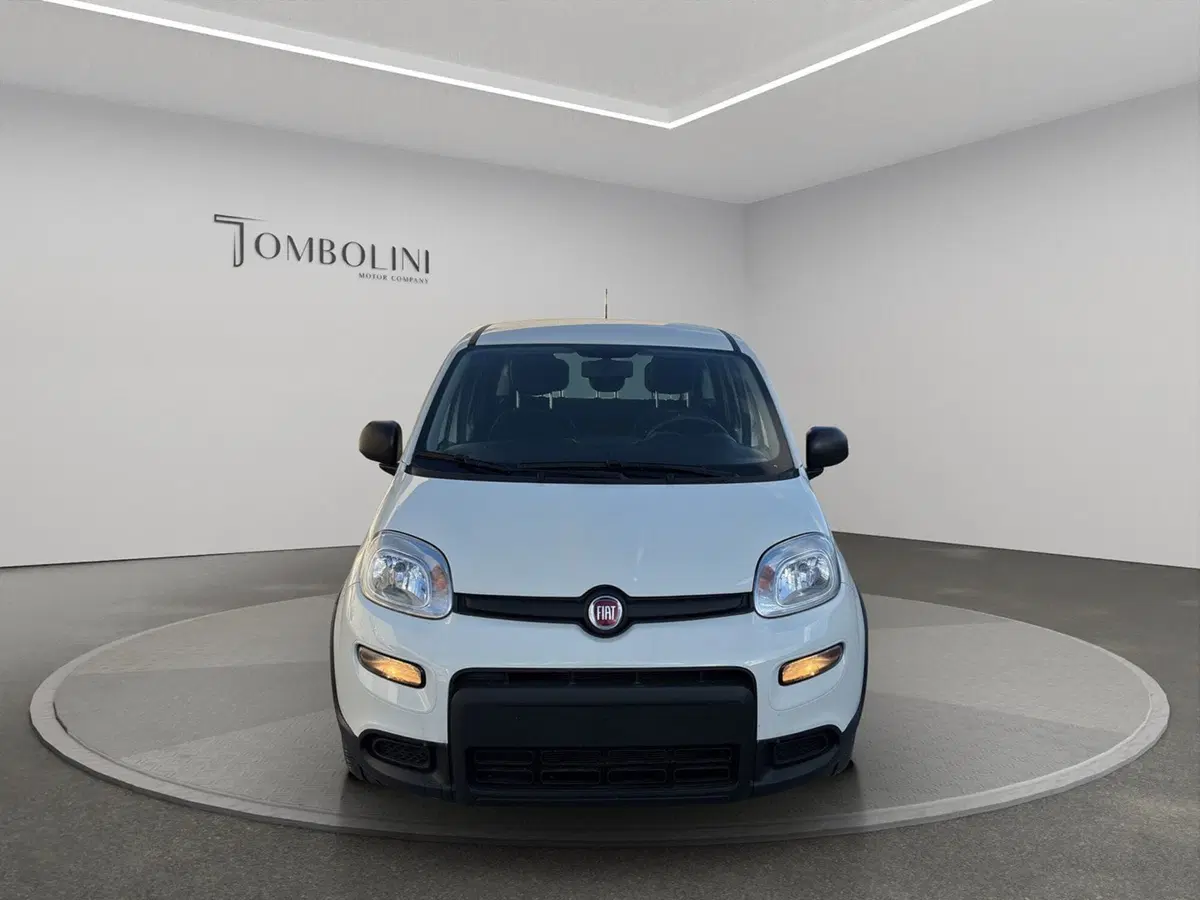 Fiat Panda Cross usata a Macerata (3)