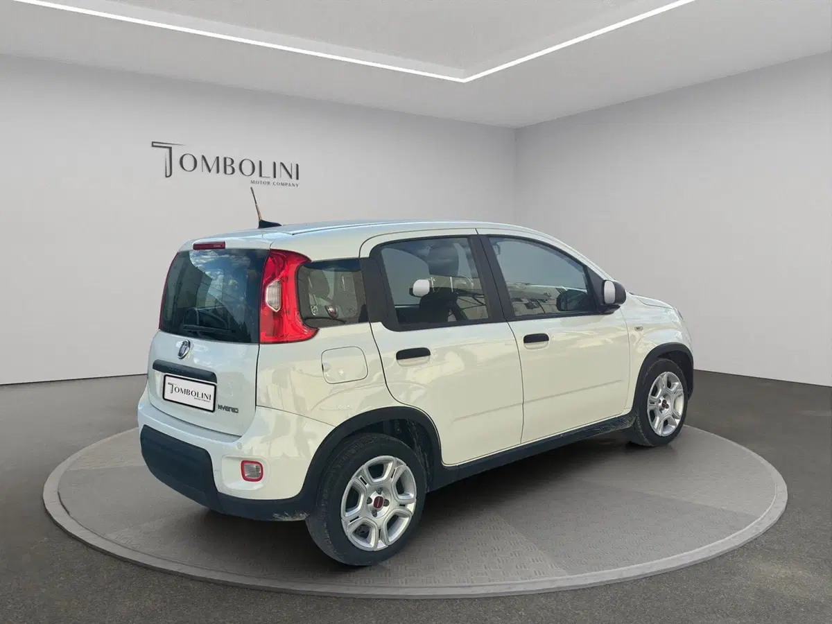 Fiat Panda Cross usata a Macerata (5)