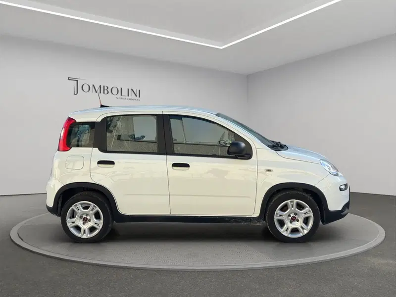 Fiat Panda Cross usata a Macerata (6)