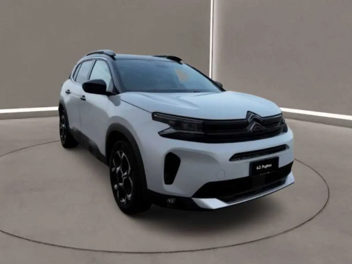 Citroen C5 Aircross usata a Caltanissetta (2)
