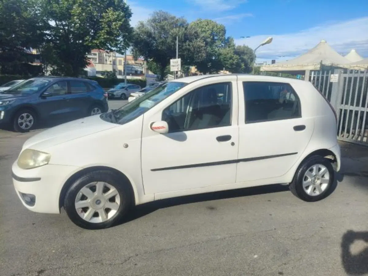 Fiat Punto usata a Firenze (4)