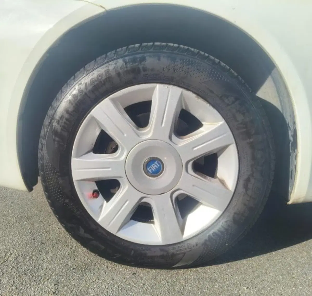 Fiat Punto usata a Firenze (8)