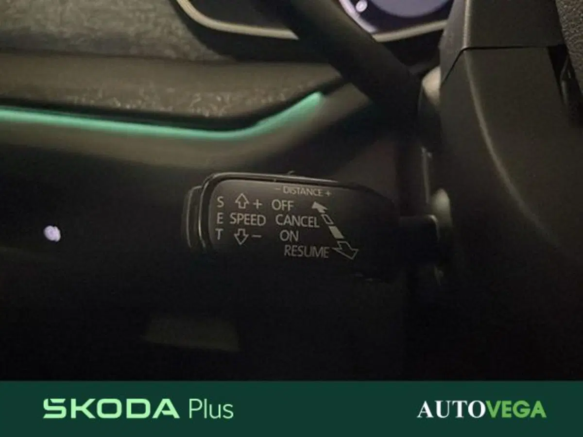 Skoda Octavia Station Wagon usata a Vicenza (17)