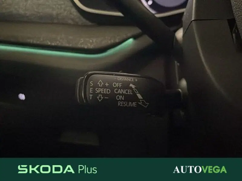 Skoda Octavia Station Wagon usata a Vicenza (17)
