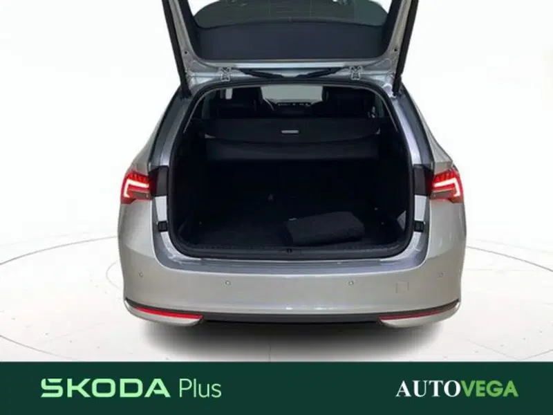 Skoda Octavia Station Wagon usata a Vicenza (19)