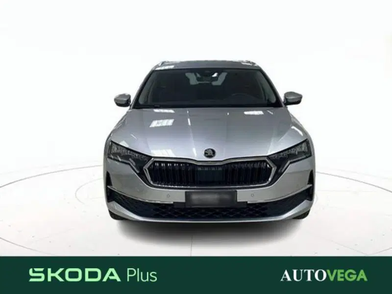 Skoda Octavia Station Wagon usata a Vicenza (2)