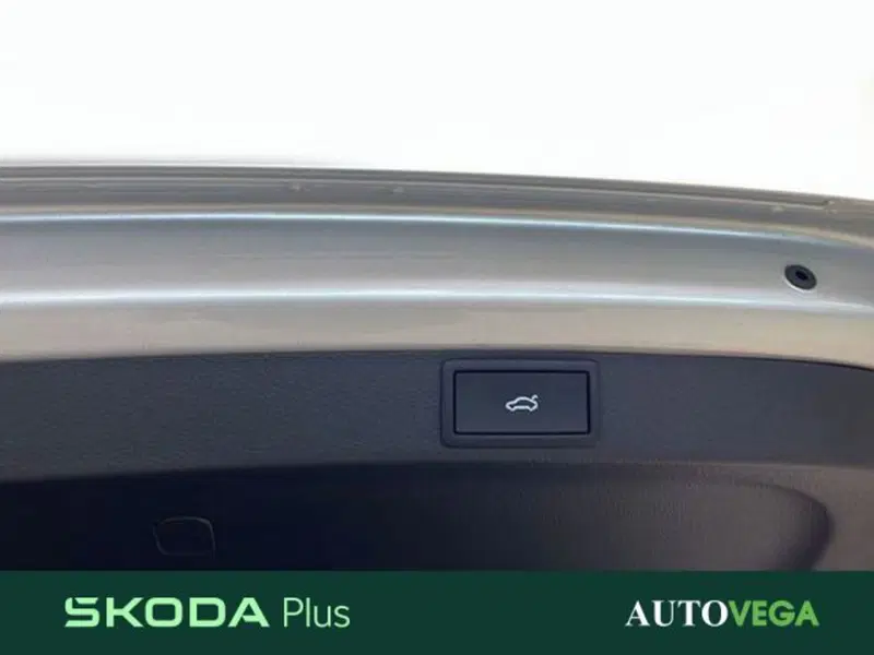 Skoda Octavia Station Wagon usata a Vicenza (20)
