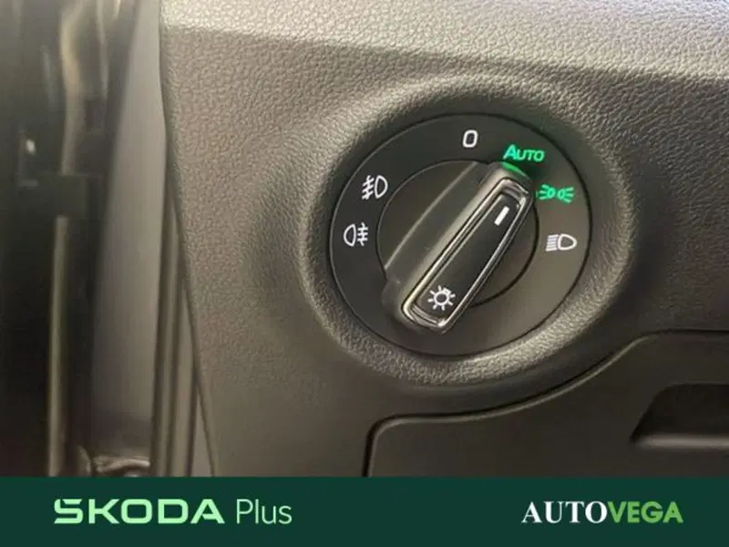 Skoda Kamiq usata a Vicenza (18)