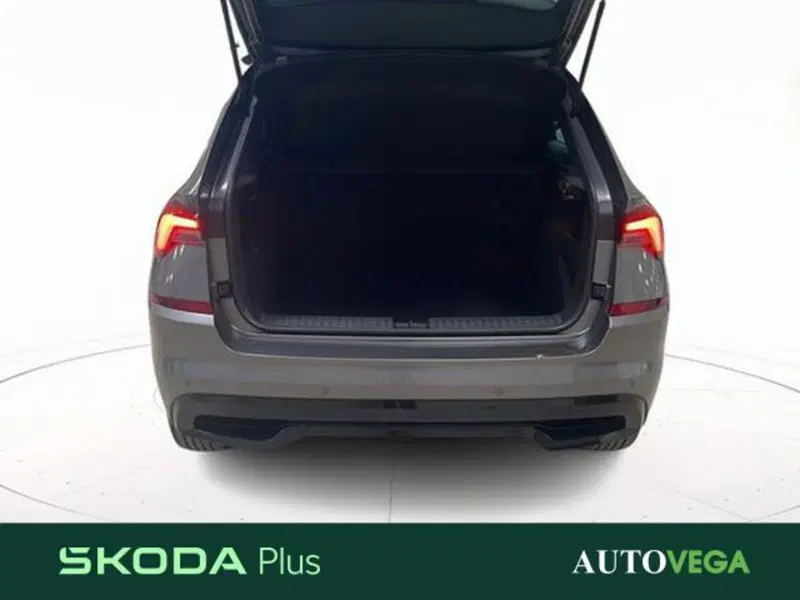 Skoda Kamiq usata a Vicenza (20)