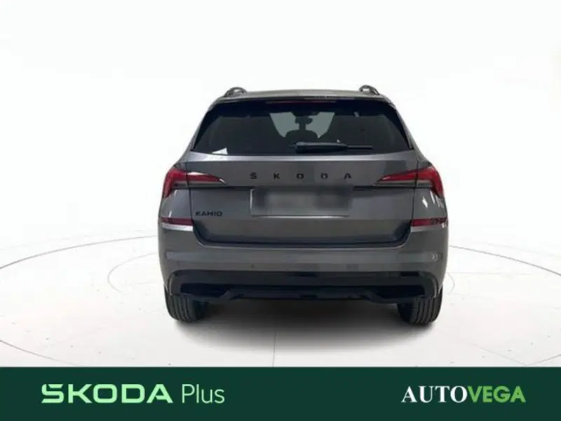 Skoda Kamiq usata a Vicenza (5)
