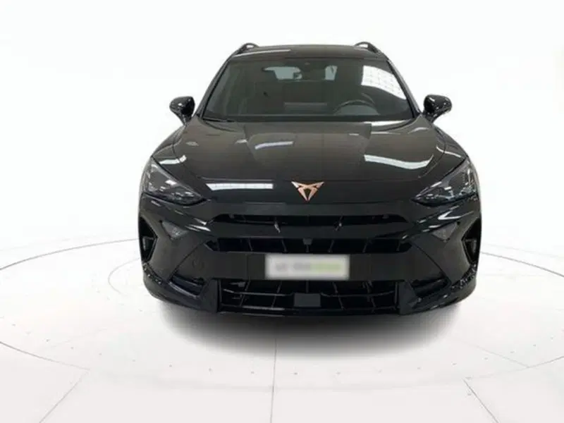 Cupra Formentor usata a Vicenza (2)