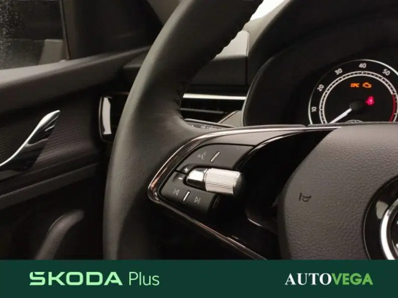 Skoda Kamiq usata a Vicenza (16)