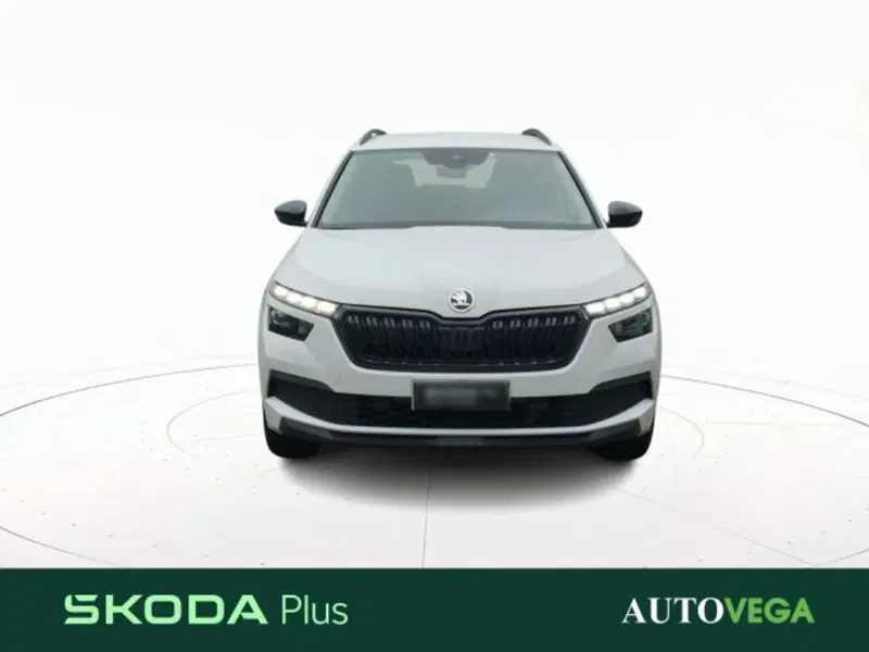 Skoda Kamiq usata a Vicenza (2)