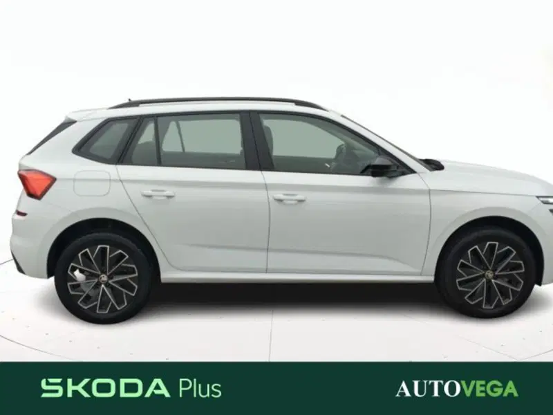 Skoda Kamiq usata a Vicenza (3)