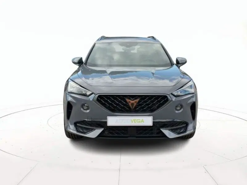 Cupra Formentor usata a Vicenza (2)
