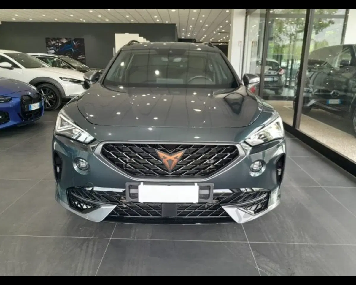Cupra Formentor usata a Bologna (6)