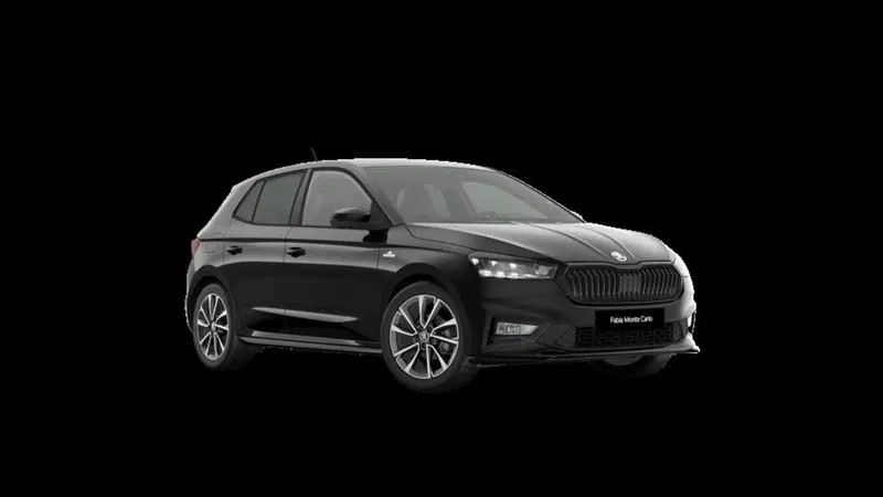 Skoda Fabia nuova a Padova