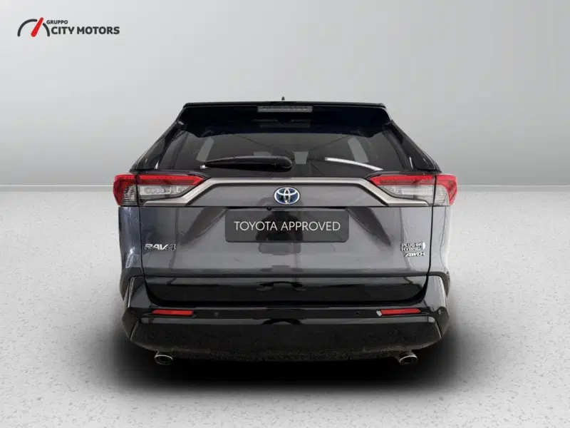 Toyota Rav4 usata a Monza e Brianza (6)