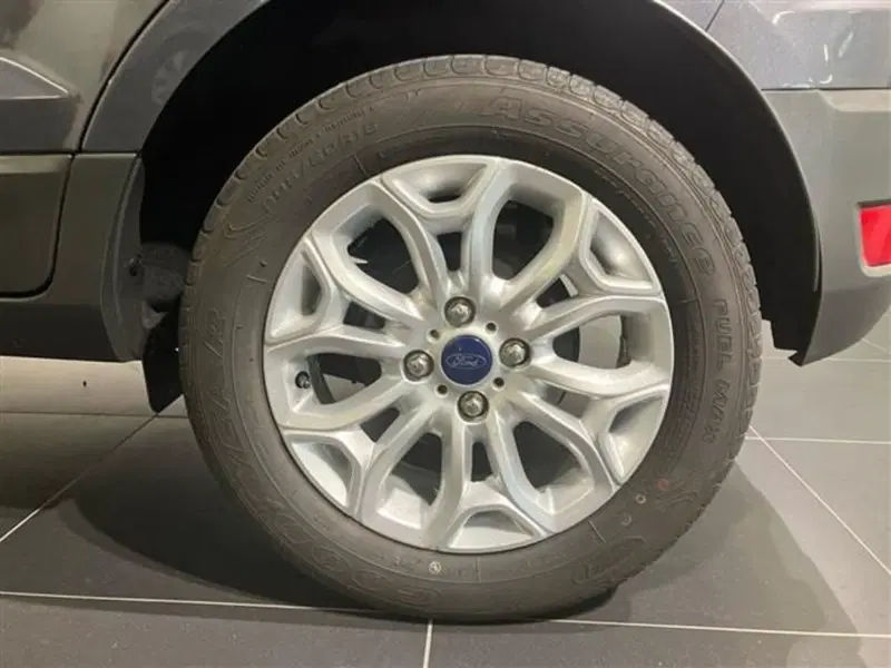 Ford EcoSport usata a Como (6)