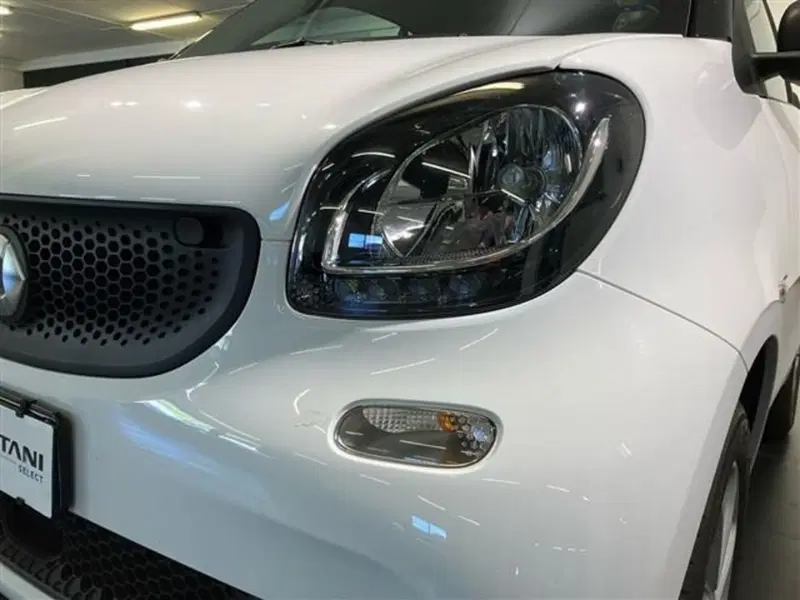 smart Fortwo usata a Como (15)