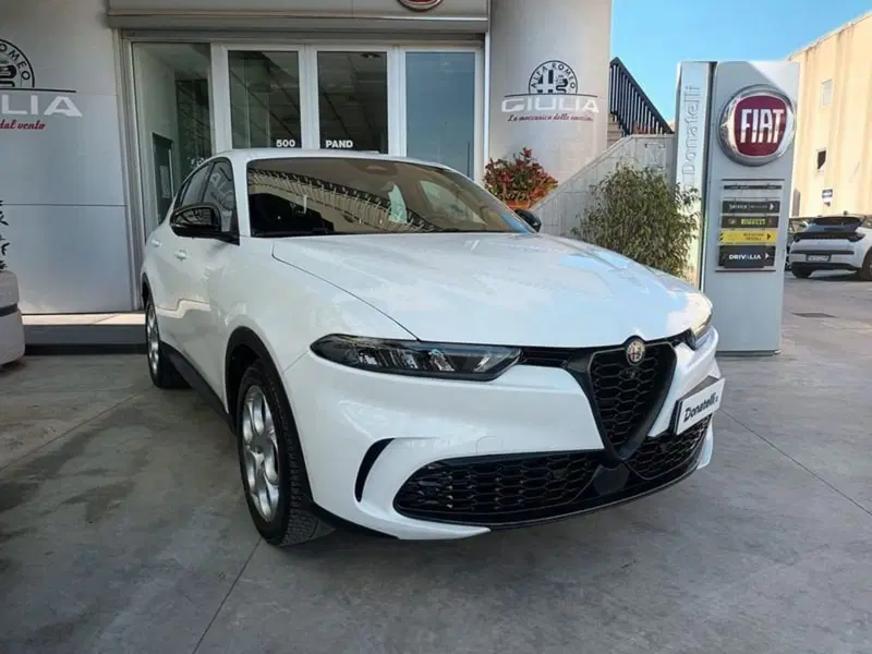 Alfa Romeo Tonale usata a Bari