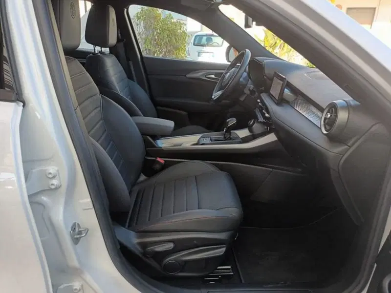 Alfa Romeo Tonale usata a Bari (14)