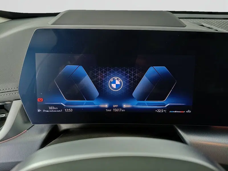 BMW X1 usata a Ascoli Piceno (12)