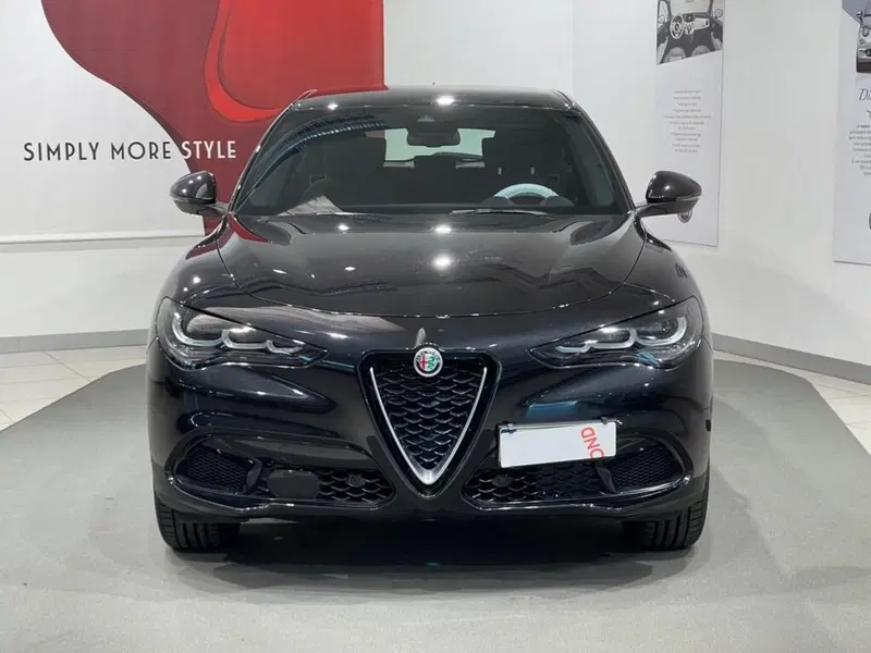 Alfa Romeo Stelvio usata a Sondrio (8)